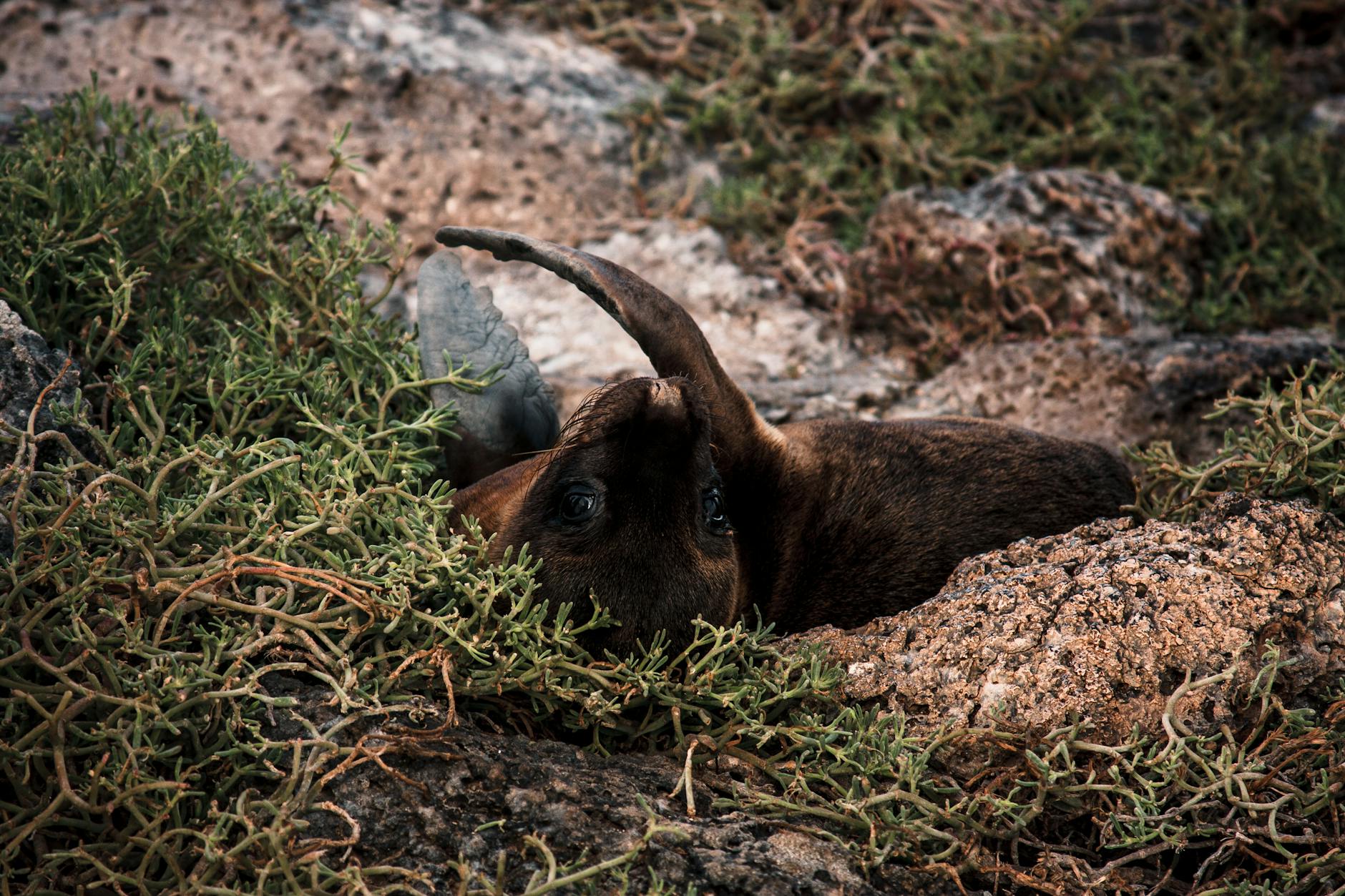 Grafika symbolizująca poszukiwanie pracy w Elblągu, z hasłem 'Praca Elbląg aktualne oferty PUP'